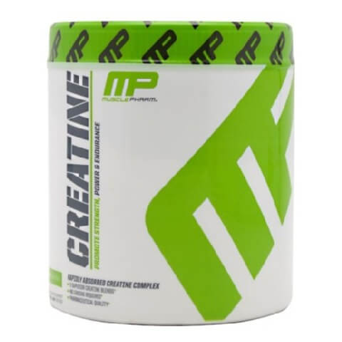 muscle best creatine supplement for men in India 