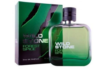 Wild Stone for Men perfume in Forest Spice