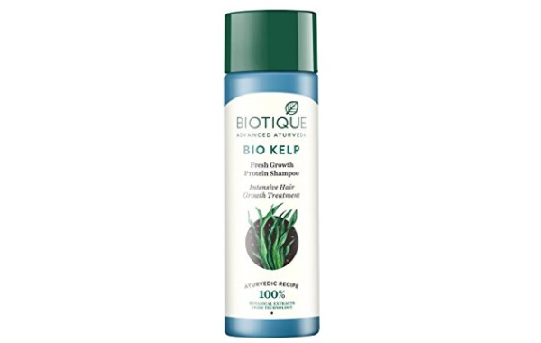 Biotique Bio Kelp Protein Shampoo