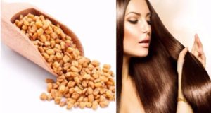 methi seeds for hair growth