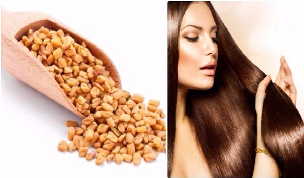 methi seeds for hair growth