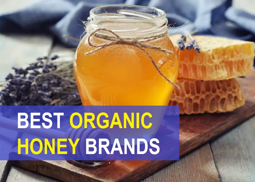 9 Best Organic Honey Brands in India