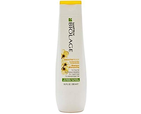 MATRIX By fbb Biolage Smooth Proof Smoothing Shampoo for Frizzy Hair