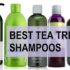 best tea tree shampoos in india