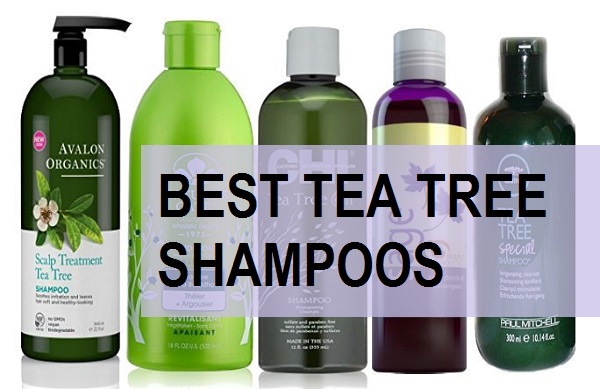 best tea tree shampoos in india