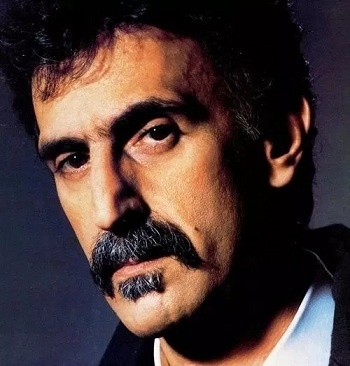 Zappa Style Beard